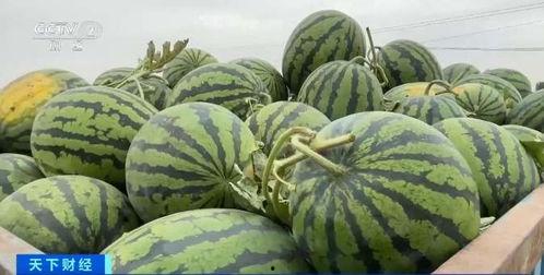 高鹏吃瓜,揭秘娱乐圈幕后真相