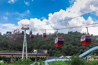 单县新街吃瓜,夏日炎炎，吃瓜群众欢乐多