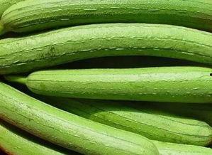 水瓜能长期吃吗,长期食用的健康益处与注意事项