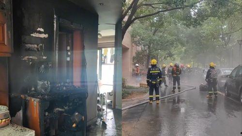 新宿吃瓜围观,一场热闹非凡的吃瓜围观大戏