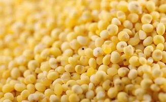 小米吃瓜,揭秘科技巨头背后的娱乐风云