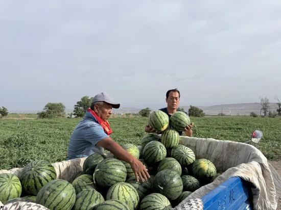 拦网吃瓜,揭秘拦网背后的精彩瞬间