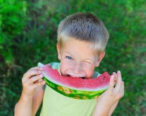 吃瓜被笑疯,网友热议，一场欢乐的“瓜”界盛宴