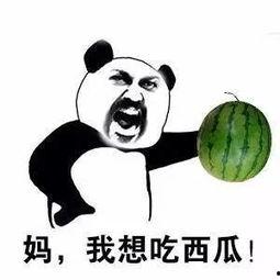 不吃瓜的吃货,不吃瓜的吃货之旅