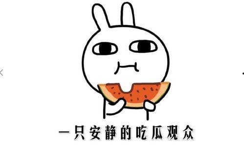 投票吃瓜的正确姿势,轻松掌握正确姿势指南