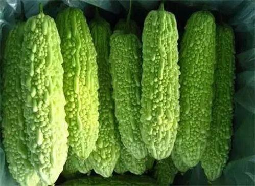 南宁公园吃瓜事件