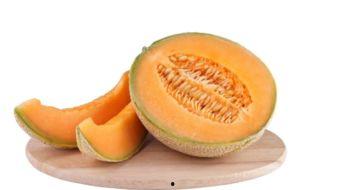 狗乐意吃哈密瓜,揭秘狗狗的独特口味