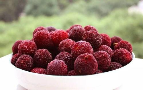 吃杨梅瓜过敏吗,吃杨梅瓜安全吗？