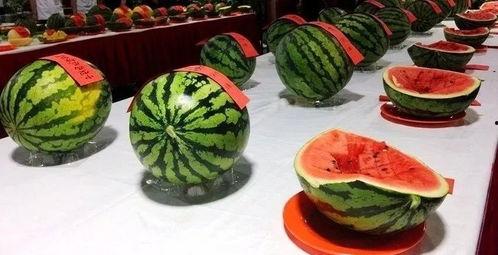 平江县吃瓜,探寻平江县特色美食之旅