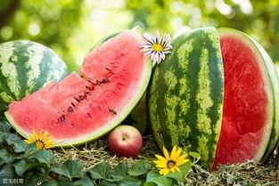 吃瓜视频多少钱,揭秘热门视频背后的价格之谜