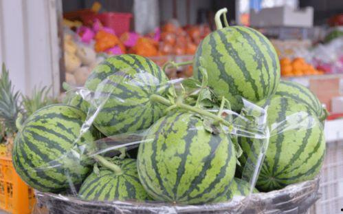 吃瓜视频多少钱,揭秘热门视频背后的价格之谜