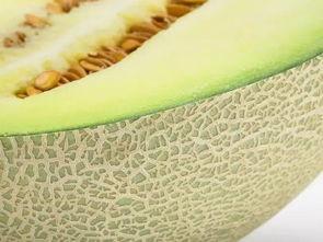 瓤瓜可以吃吗,揭秘其可食用之谜