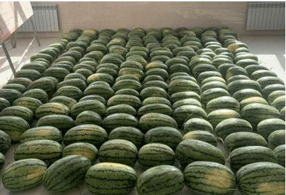 大新吃瓜新闻,揭秘娱乐圈最新热点事件