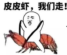 群众吃瓜的套路,揭秘群众吃瓜背后的趣味与真相