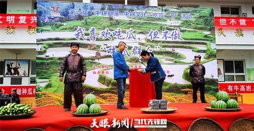 吃瓜节的活动,吃瓜节活动精彩回顾