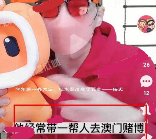 吃瓜号直播小熊间,揭秘网红背后的故事
