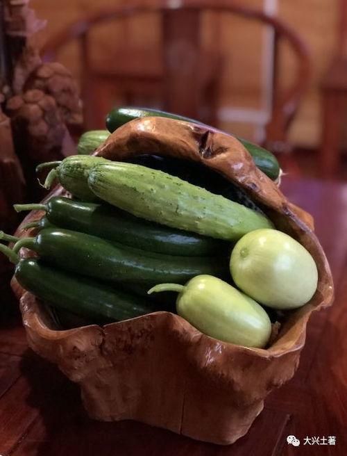 河津网红吃瓜,揭秘幕后故事与热门话题