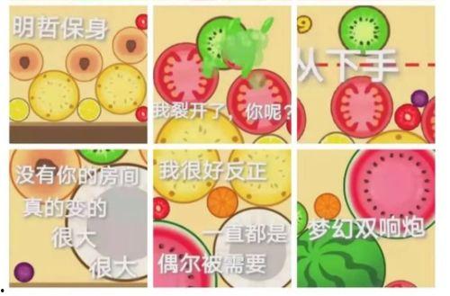 吃瓜卡泡泡,揭秘网络热词背后的趣味与真相