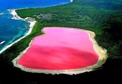 湖水瓜怎么吃,解锁夏日清新美味