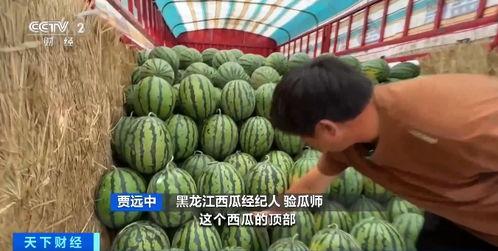 李豆罗吃瓜,揭秘娱乐圈幕后真相