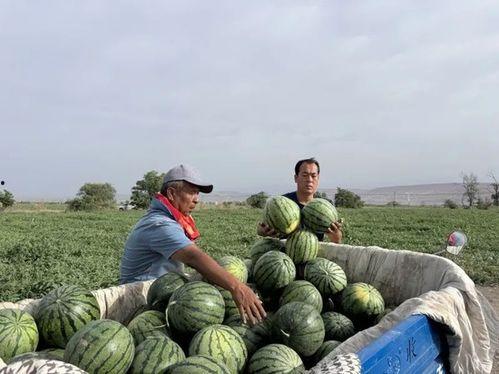 建筑圈内吃瓜,那些你不知道的“吃瓜”事件