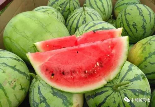 如何快速结束吃瓜,回归生活本质