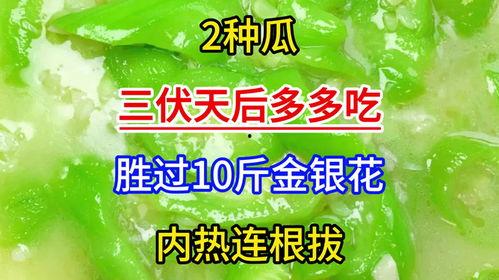 吃瓜多多后续2,揭秘娱乐圈风云再起