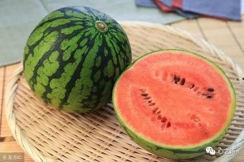 吃西瓜开瓜器