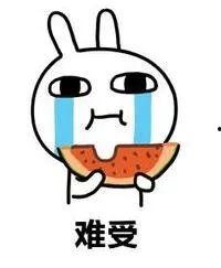 单身人吃瓜,揭秘单身人士的美食世界