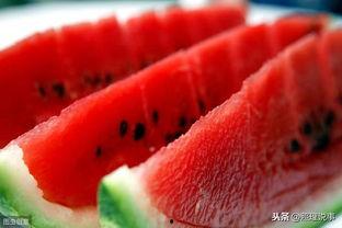 职场吃瓜怎么吃