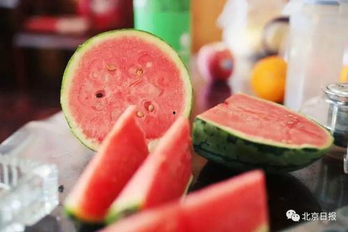 用命吃瓜,一场生死较量中的神秘冒险