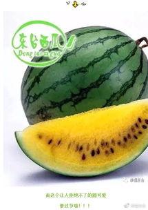 全球最新吃瓜视频,揭秘娱乐圈幕后风云