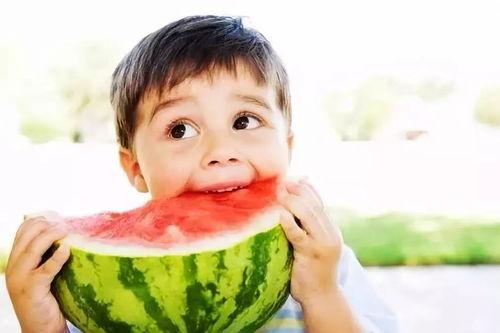 笨笨吃瓜是啥,网络热词背后的趣味与内涵