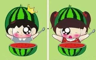 笨笨吃瓜是啥,网络热词背后的趣味与内涵