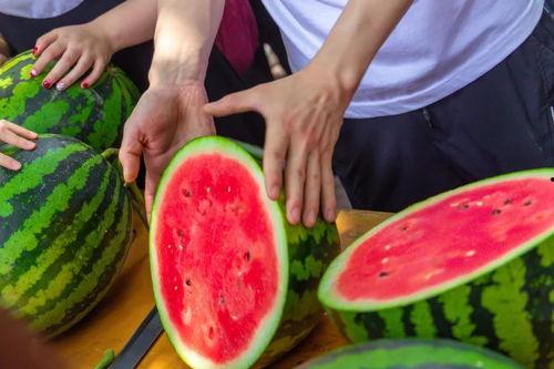吃瓜各大学,吃瓜群众揭秘各大学新鲜事