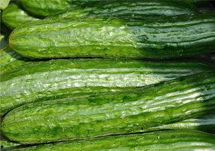 健身完吃瓜,吃瓜时光的完美搭配