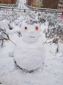 风雪吃瓜合集,笑谈人生百态