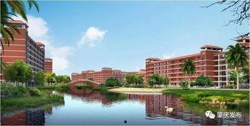 肇庆校园吃瓜,吃瓜群众的热议焦点