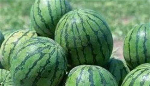 常州邮电路吃瓜