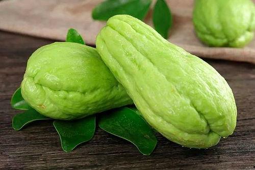 米象吃瓜干,瓜干成了它们的“美味佳肴”