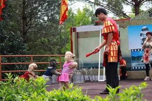 金光湖吃瓜大会,吃瓜大会盛况空前，欢乐无限！