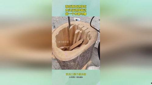 木头吃瓜,一场别开生面的自然之旅