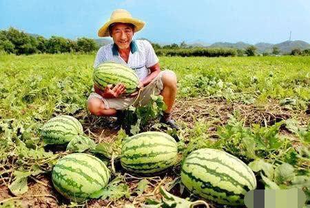 吃深夜的瓜,揭秘娱乐圈那些不为人知的秘密