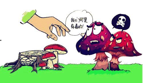 吃坏瓜中毒自救,吃坏瓜后的自救方法