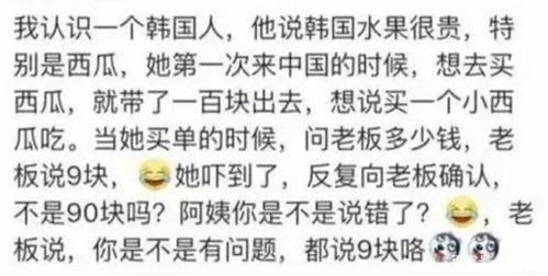 带你吃大瓜小说