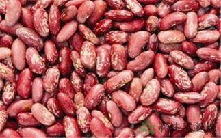 山东吃豆棱瓜,豆棱瓜的独特风味探索