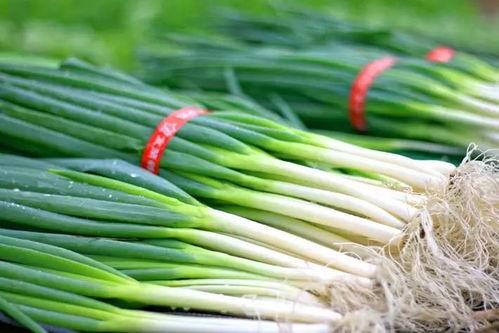 界首吃大瓜,揭秘当地特色美食背后的故事