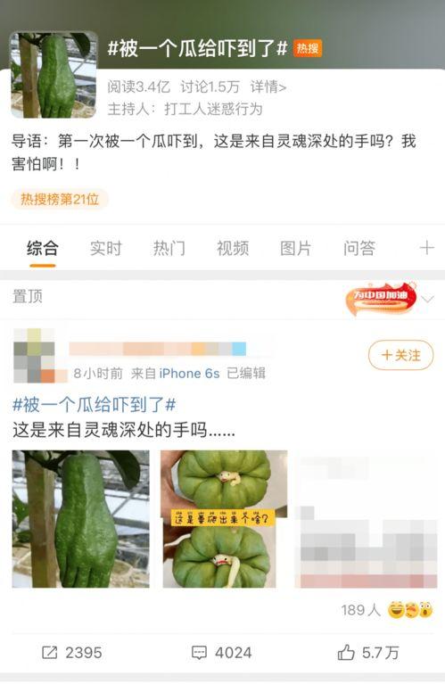 吃瓜不可错过的视频