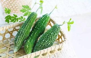 康县吃瓜啥意思,揭秘当地独特美食文化