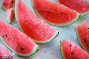 全球吃瓜照,趣味横生的生活瞬间大集合